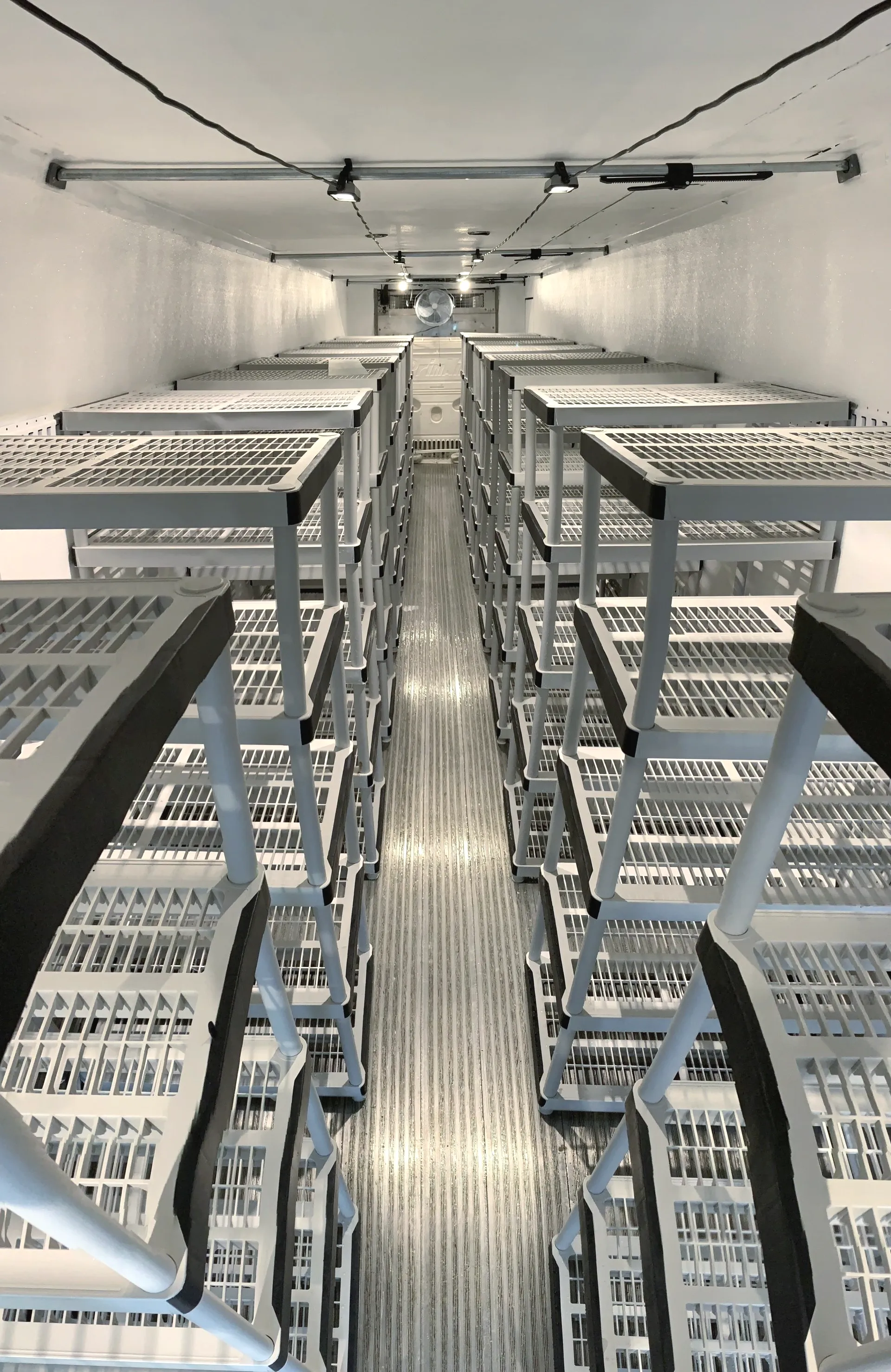 Fruiting chamber inside the mushroom trailer